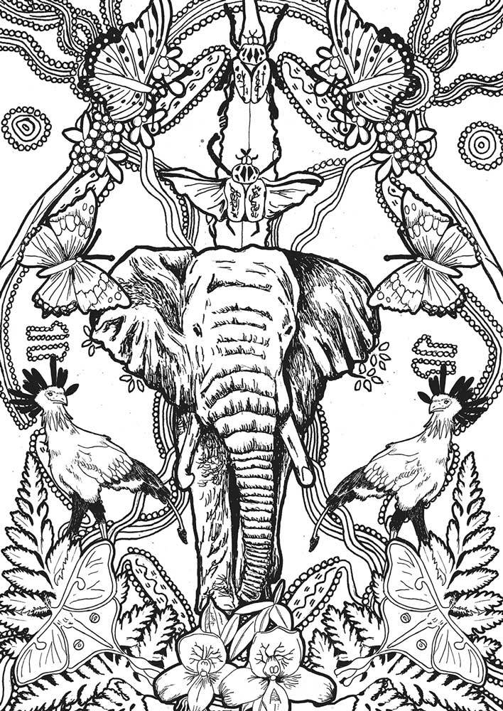 Okapi FREE- Color at home Illustration - Elephant