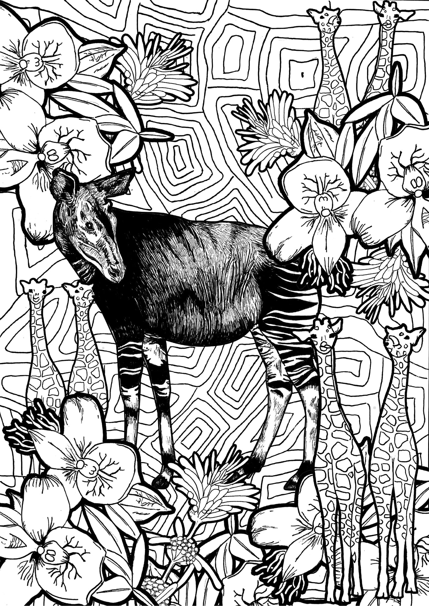 Okapi FREE- Color at home Illustration- Okapi